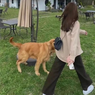 地狱宝贝