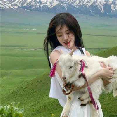 新扎师兄续集粤语